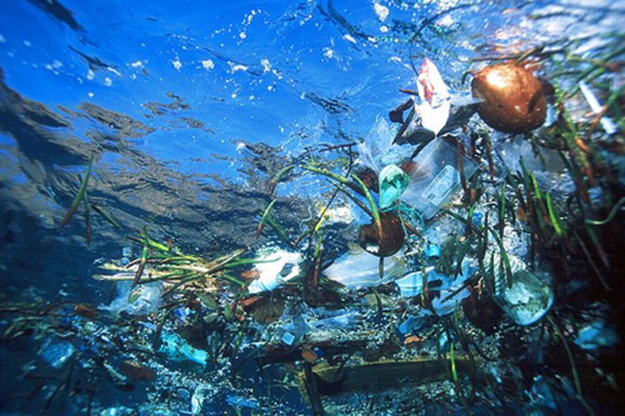Une prise de Conscience Globale