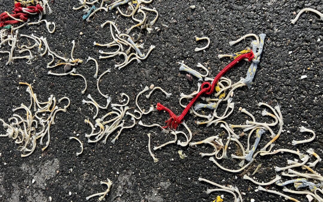 Déchets de ramendage des filets de pêche. Une pollution discrète mais continue…